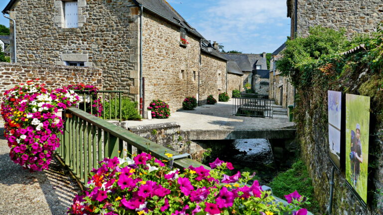 fleurs jugon les lacs