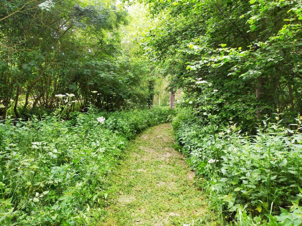 Les espaces naturels de la commune