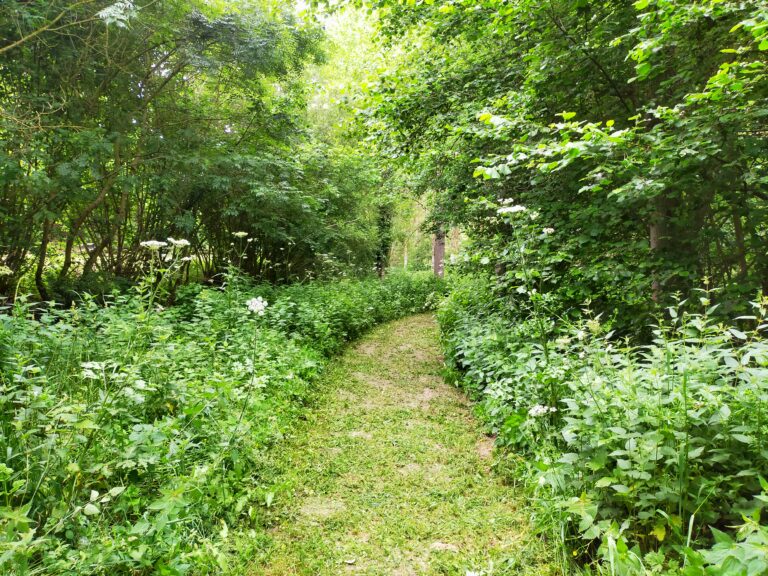 Les espaces naturels de la commune