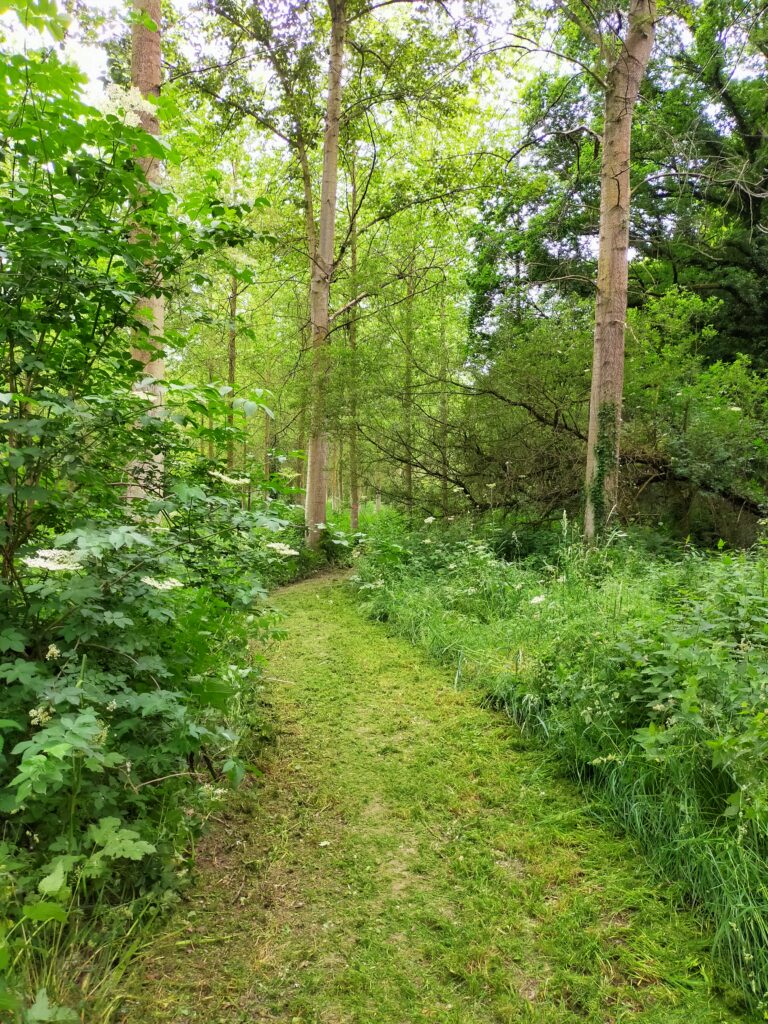 Un sentier entretenu en gestion raisonnée